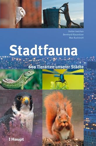 Stadtfauna: 600 Tierarten unserer Städte