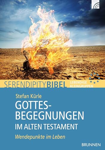 Gottesbegegnungen im Alten Testament: Wendepunkte im Leben von BRUNNEN