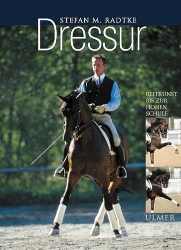 Dressur: Klassische Reitkunst bis zur Hohen Schule