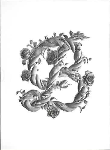Sagmeister & Walsh: Beauty: Schönheit = Wahrheit / Schönheit = Funktion von Schmidt Hermann Verlag