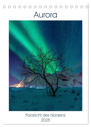 Aurora - Polarlicht des Nordens (Tischkalender 2025 DIN A5 hoch), CALVENDO Monatskalender von CALVENDO