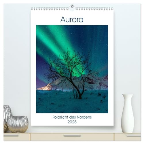Aurora - Polarlicht des Nordens (hochwertiger Premium Wandkalender 2025 DIN A2 hoch), Kunstdruck in Hochglanz: Sehen Sie Bilder, die den meisten Menschen verborgen bleiben von CALVENDO