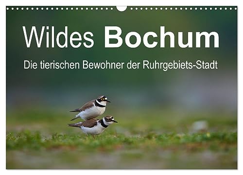 Wildes Bochum (Wandkalender 2024 DIN A3 quer), CALVENDO Monatskalender von CALVENDO