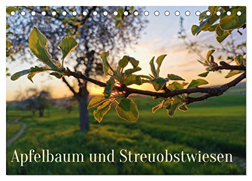 Apfelbaum und Streuobstwiesen (Tischkalender 2024 DIN A5 quer), CALVENDO Monatskalender von CALVENDO