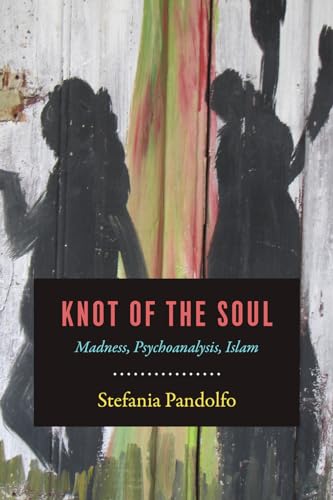 Knot of the Soul: Madness, Psychoanalysis, Islam von University of Chicago Press