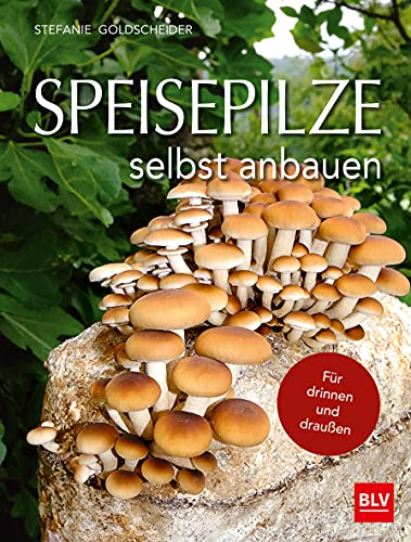 Speisepilze selbst anbauen: Für drinnen und draußen (BLV Selbstversorgung) Speisepilze selbst anbauen: Für drinnen und draußen (BLV Selbstversorgung)