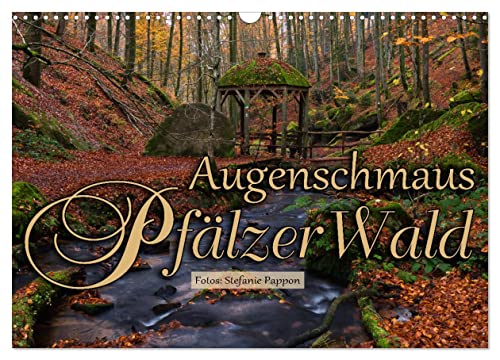 Augenschmaus Pfälzer Wald (Wandkalender 2025 DIN A3 quer), CALVENDO Monatskalender