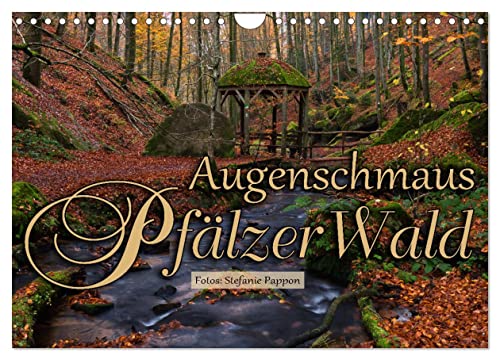 Augenschmaus Pfälzer Wald (Wandkalender 2025 DIN A4 quer), CALVENDO Monatskalender von CALVENDO