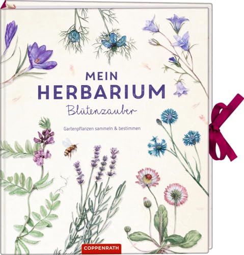 Mein Herbarium: Blütenzauber: Gartenpflanzen sammeln und bestimmen