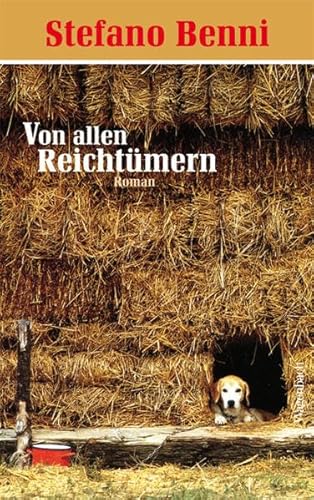 Von allen Reichtümern: Roman (Quartbuch)