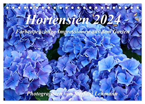 Hortensien 2024. Farbenprächtige Impressionen aus dem Garten (Tischkalender 2024 DIN A5 quer), CALVENDO Monatskalender von CALVENDO