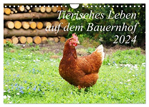 Tierisches Leben auf dem Bauernhof 2024 (Wandkalender 2024 DIN A4 quer), CALVENDO Monatskalender von CALVENDO