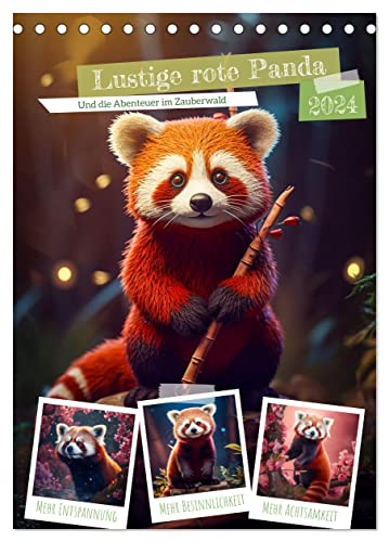 Lustige rote Panda (Tischkalender 2024 DIN A5 hoch), CALVENDO Monatskalender: Der rote Panda ist ein kleines Säugetier das in den Bergwäldern des Himalaya beheimatet ist. (CALVENDO Tiere) von CALVENDO
