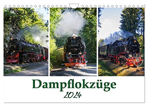 Schmalspurbahnen im Harz (Wandkalender 2024 DIN A4 quer), CALVENDO Monatskalender von CALVENDO