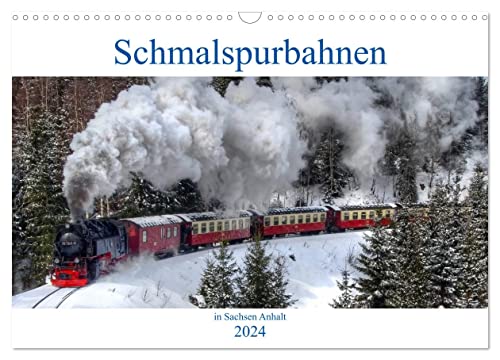 Schmalspurbahnen in Sachsen Anhalt (Wandkalender 2024 DIN A3 quer), CALVENDO Monatskalender von CALVENDO