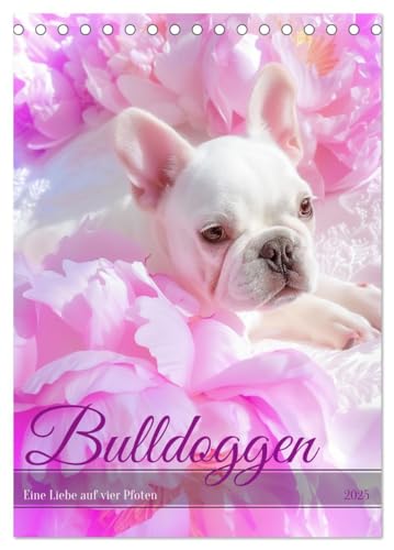 Bulldoggen (Tischkalender 2025 DIN A5 hoch), CALVENDO Monatskalender von CALVENDO