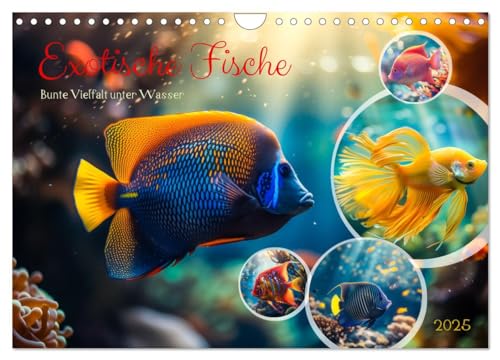 Exotische Fische (Wandkalender 2025 DIN A4 quer), CALVENDO Monatskalender von CALVENDO