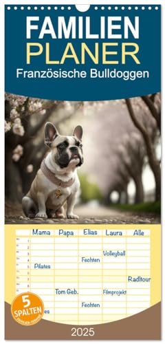 Familienplaner 2025 - Französische Bulldoggen mit 5 Spalten (Wandkalender, 21 cm x 45 cm), CALVENDO
