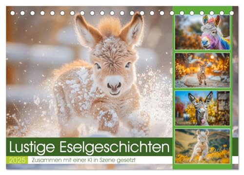 Lustige Eselgeschichten (Tischkalender 2025 DIN A5 quer), CALVENDO Monatskalender