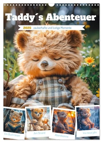 Taddy´s Abenteuer (Wandkalender 2025 DIN A3 hoch), CALVENDO Monatskalender von CALVENDO