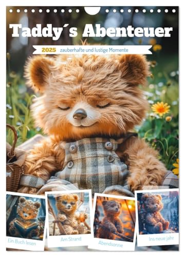 Taddy´s Abenteuer (Wandkalender 2025 DIN A4 hoch), CALVENDO Monatskalender von CALVENDO