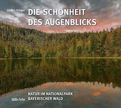 Die Schönheit des Augenblicks: Natur im Nationalpark Bayerischer Wald