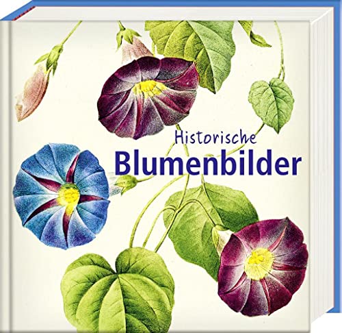 Historische Blumenbilder: Book To Go - Der Bildband für die Hosentasche