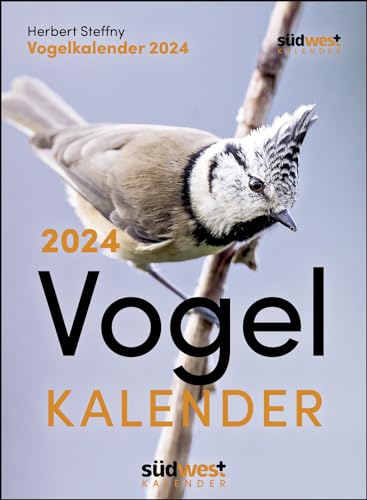 Vogelkalender 2024 - Tagesabreißkalender zum Aufstellen oder Aufhängen von Suedwest Verlag