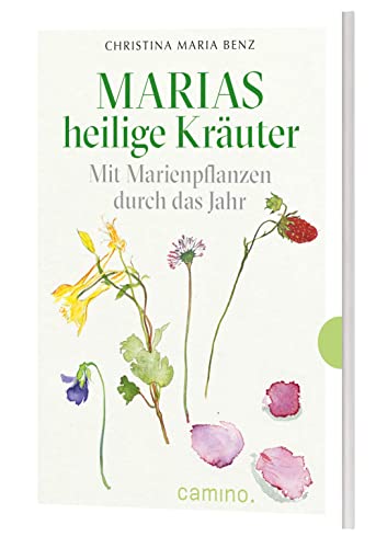 Marias heilige Kräuter - Mit Marienpflanzen durch das Jahr von camino