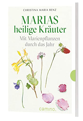 Marias heilige Kräuter - Mit Marienpflanzen durch das Jahr