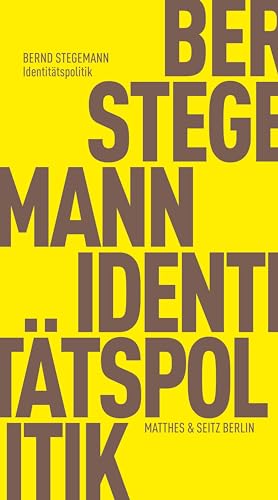 Identitätspolitik (Fröhliche Wissenschaft) von Matthes & Seitz Berlin
