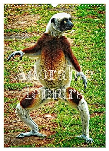 Adorable lemurs (Wall Calendar 2025 DIN A3 portrait), CALVENDO 12 Month Wall Calendar: Madagascar is the exclusive and endemic home of lemurs