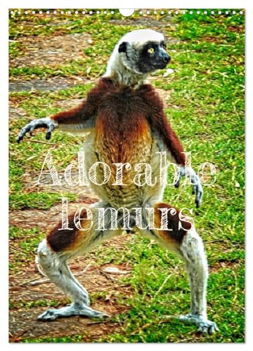 Adorable lemurs (Wall Calendar 2025 DIN A3 portrait), CALVENDO 12 Month Wall Calendar: Madagascar is the exclusive and endemic home of lemurs von Calvendo
