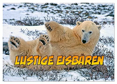 Lustige Eisbären (Wandkalender 2024 DIN A2 quer), CALVENDO Monatskalender