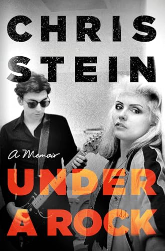 Under A Rock von Little, Brown Book Group