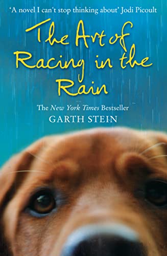 Art Of Racing In The Rain: A Novel von Harper Collins Publ. UK
