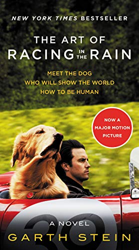 The Art of Racing in the Rain Movie Tie-in Edition: A Novel von Harper