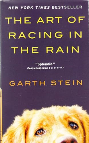 The Art of Racing in the Rain