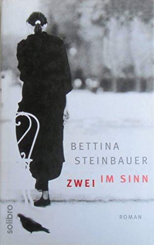 Zwei im Sinn: Roman (Solibro Literatur)