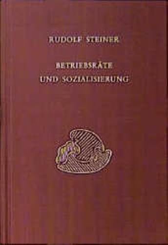 Betriebsräte und Sozialisierung. Diskussionsabende mit den Arbeiterausschüssen der grossen Betriebe Stuttgarts, 1919 Betriebsräte und Sozialisierung. Diskussionsabende mit den Arbeiterausschüssen der grossen Betriebe Stuttgarts, 1919
