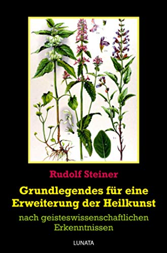 Grundlegendes zur Erweiterung der Heilkunst: nach geisteswissenschaftlichen Erkenntnissen Grundlegendes zur Erweiterung der Heilkunst: nach geisteswissenschaftlichen Erkenntnissen