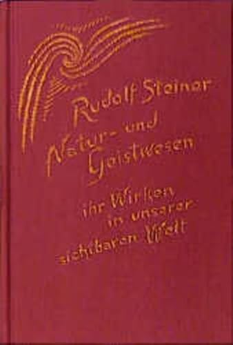 Natur- und Geistwesen - ihr Wirken in unserer sichtbaren Welt: Hörernotizen von Achtzehn Vorträgen in verschiedenen Städten 1907-1908 (Rudolf Steiner Gesamtausgabe: Schriften und Vorträge)