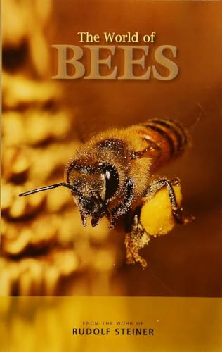 The World of Bees: From the Work of Rudolf Steiner