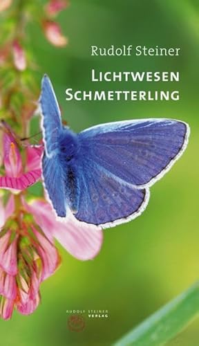 Lichtwesen Schmetterling: Drei Vorträge mit ergänzenden Ausführungen (Thementexte)