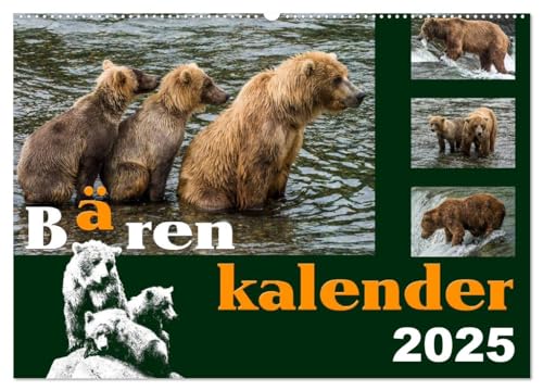 Bärenkalender (Wandkalender 2025 DIN A2 quer), CALVENDO Monatskalender von CALVENDO