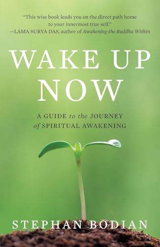 Wake Up Now von McGraw-Hill Education