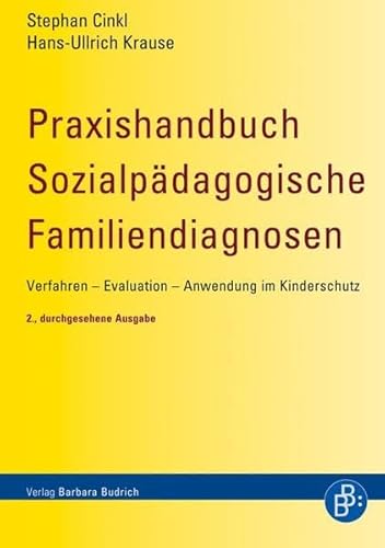 Praxishandbuch Sozialpädagogische Familiendiagnosen: Verfahren - Evaluation - Anwendung im Kinderschutz