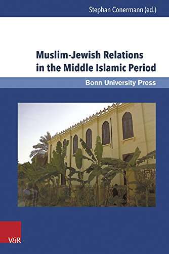 Muslim-Jewish Relations in the Middle Islamic Period: Jews in the Ayyubid and Mamluk Sultanates (1171-1517) (Mamluk Studies, Band 16) von V&R unipress