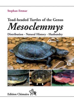 Toad-headed Turtles of the Genus Mesoclemmys von Chimaira