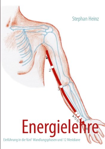 Energielehre: Einführung in die fünf Wandlungsphasen und 12 Meridiane